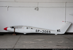 cobra_15_sp3065_lorenz_5962.jpg